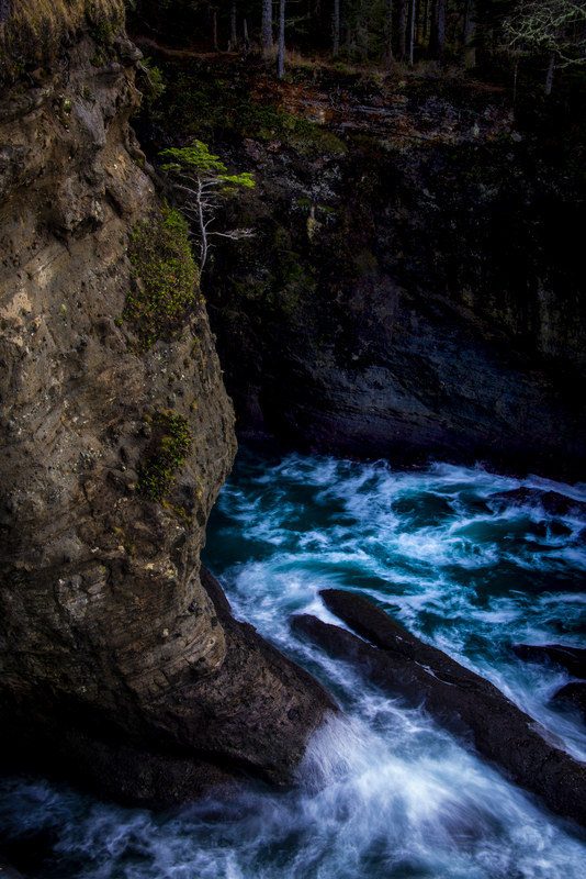 Dark sea canyon at Cape Flattery with turquoise water rushing below and a lone cliff pine above